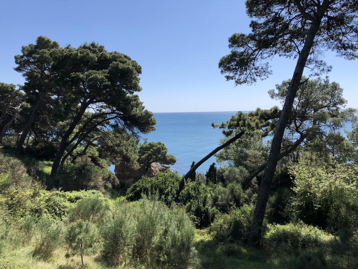 Long Beach Apartment Ulcinj Bagian luar foto
